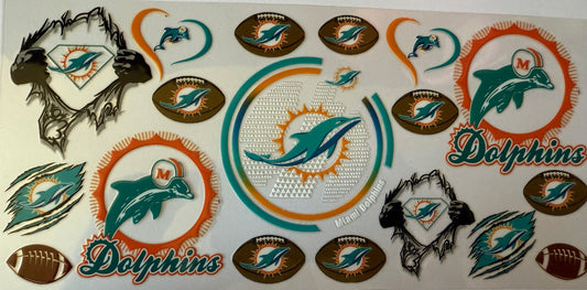 Miami dolphins