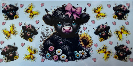 Cute black cow