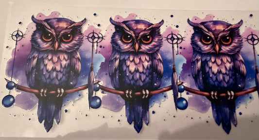 Owls