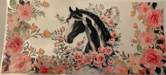Blk & White horse