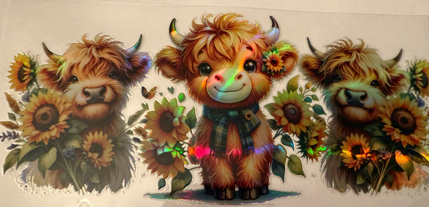 Holographic highland cows
