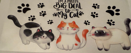 Big deal to my cat