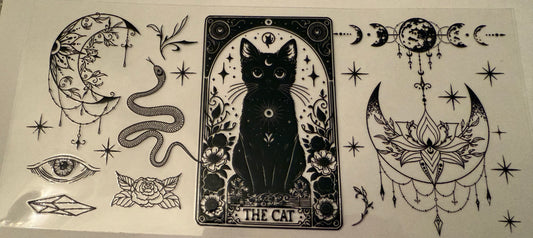 The CAT