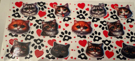 CATS!