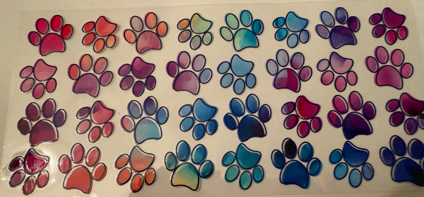 multi color paws