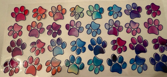multi color paws