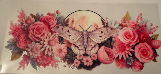 pink moth