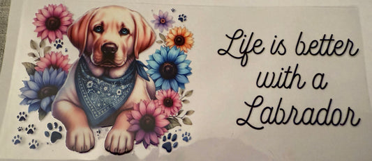 life with a Lab